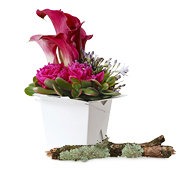 Floristische Dekorationen